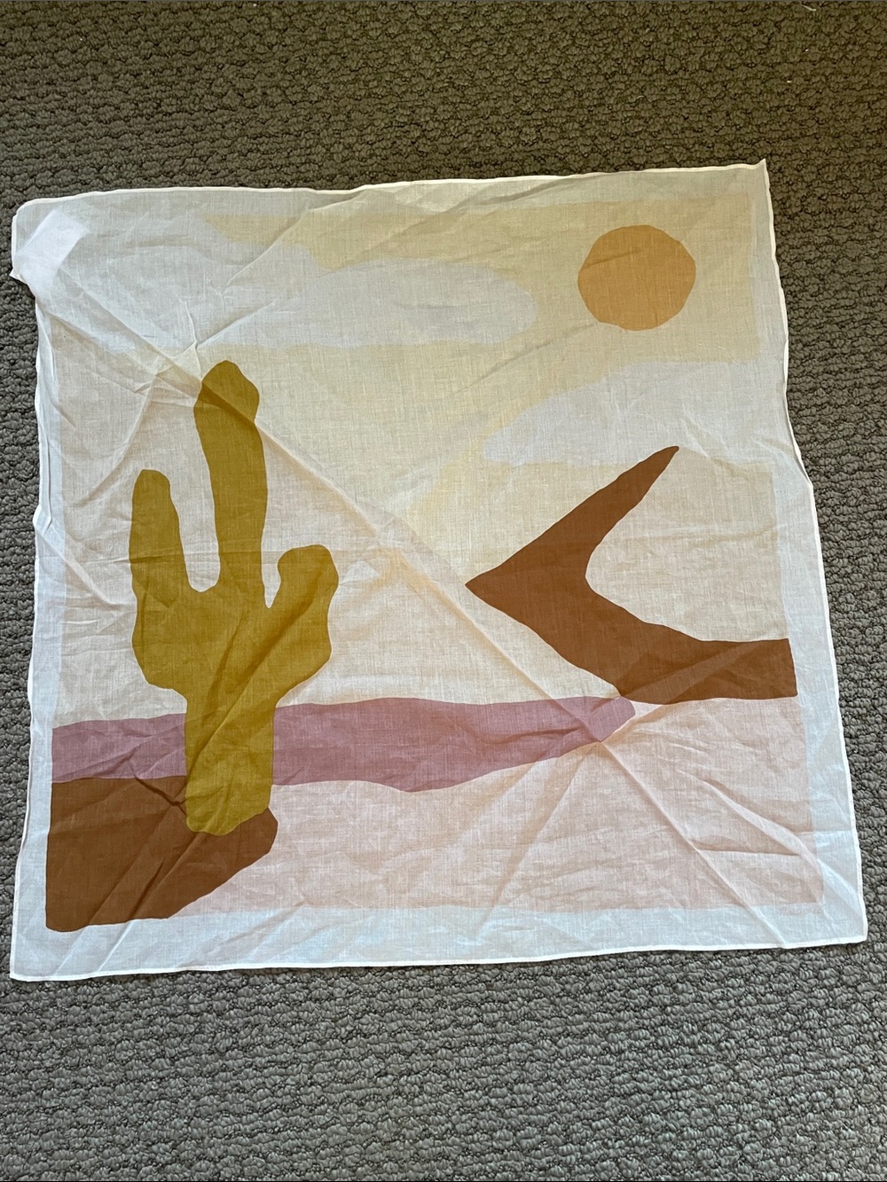 Madewell Desert Print Bandana